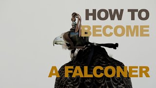 How To Become A Falconer [upl. by Abate]