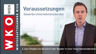 So werden Sie Unternehmensberater [upl. by Karalee]