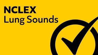 Lung Sounds  NCLEX Review [upl. by Ahtekahs]