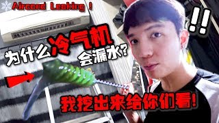 为什么冷气机会漏水？冷气机也会流鼻涕！我挖完出来给你们看！！【DailyVlog】 [upl. by Ujawernalo]