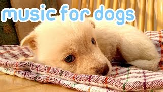 15 Hours of Anti Anxiety Music for Dogs NEW 2019 [upl. by Isador553]