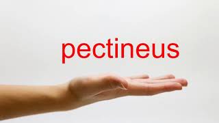 How to Pronounce pectineus  American English [upl. by Amedeo259]