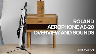 Roland Aerophone AE20 Overview and Sound Examples [upl. by Liakim877]