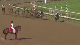 Top 50 Greatest American Racehorses [upl. by Tnomyar]