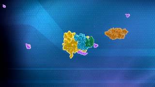 Ubiquitin Mediated Protein Degradation Explanation by Aaron Ciechanover [upl. by Johannes927]