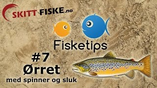 Fisketips 7 med Skitt Fiske  Ørretfiske med sluk og spinner [upl. by Enelahs]