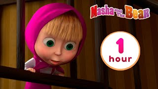 Masha and the Bear 💥🎬 NEW EPISODE 🎬💥 Best cartoon collection 🎪 Variety Show [upl. by Howlan]