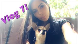 A Day In The Life of Lela Star  Vlog 7 [upl. by Mosley]