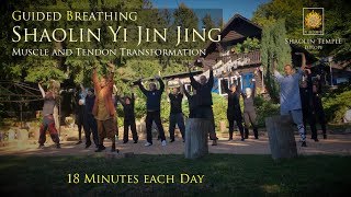 易筋經 · Yi Jin Jing with Guided Breathing · inkl Anleitung [upl. by Drannel621]