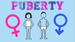 AN INTERVIEW ABOUT PUBERTY [upl. by Ruff112]