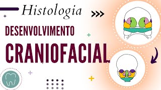 DESENVOLVIMENTO CRANIOFACIAL [upl. by Oakley771]