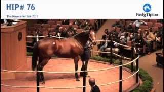 Havre de Grace sells for 10000000 at FasigTipton November Sale [upl. by Sennahoj]