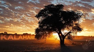 The Kalahari  Namibias Red Desert [upl. by Jair]