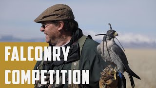 The Ultimate Falconry Competition [upl. by Woodford]