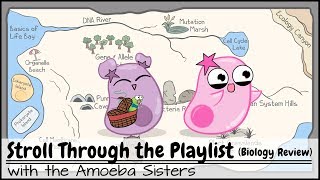 Stroll Through the Playlist a Biology Review [upl. by Sidnala]