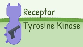 Receptor Tyrosine Kinase  MAPK Pathway [upl. by Nyleek]