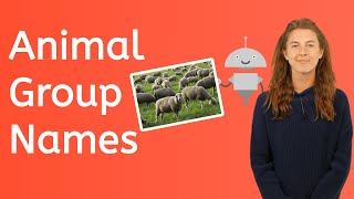 How to Name Animal Groups [upl. by Remmer]