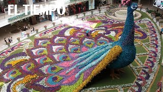 Inicia la Feria de las Flores de Medellín EL TIEMPO [upl. by Odlonra580]