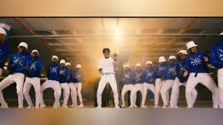 Diamond platnumz Ft Fally Ipupa Inama  official music video HD [upl. by Kaczer]