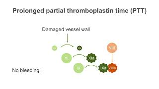 How to interpret a partial thromboplastin time PTT test [upl. by Sedlik]