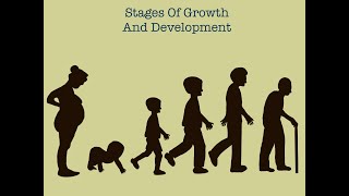 Stages Of Human Growth And Development [upl. by Alicirp686]