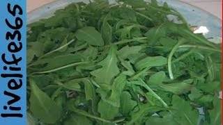 Why Eat Arugula [upl. by Rezzani]