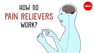 How Do Pain Relievers Work  George Zaidan [upl. by Ulrikaumeko536]