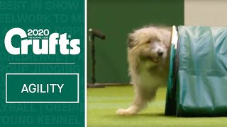 Heartwarming Rescue Dog Agility  ​Crufts 2020 [upl. by Aseefan]