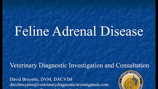 Feline Adrenal Disease [upl. by Toille116]