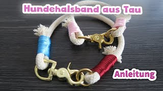 Tauhalsband für den Hund selbst wickeln  Anleitung  DIY [upl. by Judon]