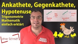 Ankathete  Gegenkathete  Hypotenuse  so geht das sin cos tan  Lehrerschmidt [upl. by Calmas]