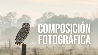 COMPOSICIÓN FOTOGRÁFICA  Reglas y Consejos que mejorarán tus fotos EJEMPLOS PRÁCTICOS [upl. by Sisxela]