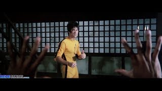 Bruce Lee vs Kareem Abdul Jabbar HD [upl. by Yrffej]