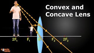 Convex and Concave Lenses [upl. by Eisenhart]