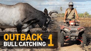 BEST ACTION EVER — Catching WILD scrubbulls in Outback Australia Part 1 of 2 [upl. by Annoyed]