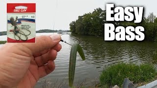 Easy Bass Fishing for ANYONE  Affordable Fishing for Beginners [upl. by Ahsekahs]