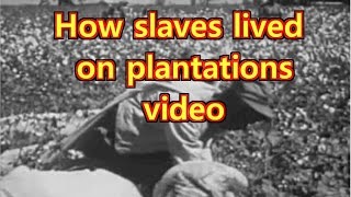 Plantation life for slaves in the South [upl. by Leinahtan]