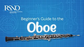 How To Play The Oboe A RSNO Beginners Guide [upl. by Arlie]