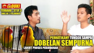 Seputar Konslet Step 3  Ini Yang Beda Tunggu DOBELAN Keluar Sempurna baru PENJODOHAN [upl. by Sirromaj354]