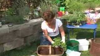 Container Gardening Container Herb Garden [upl. by Htrap]