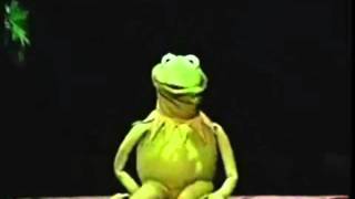 Muppet Voice Comparisons  Kermit the Frog [upl. by Gnahk]