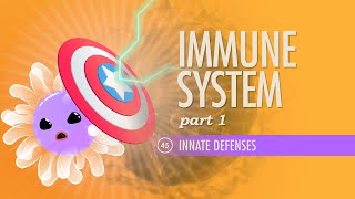 Immune System Part 1 Crash Course Anatomy amp Physiology 45 [upl. by Ymeraj]