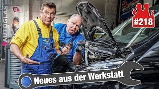 TransitGlühkerzen stecken fest Muss der Motor wieder raus  KeramikBremsbeläge aus der Hölle [upl. by Won727]