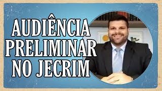 🔴 Audiência Preliminar no Juizado Especial Criminal  JECRIM  Lei 909995 [upl. by Nonnag]