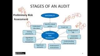 Topic 3  Risk and the audit [upl. by Liamaj624]