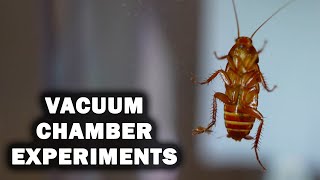 15 Vacuum Chamber Experiments [upl. by Annia938]