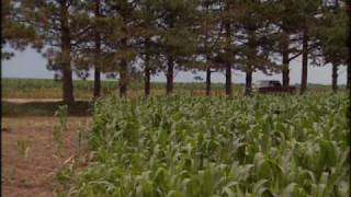 Agroforestry Practices  Windbreaks [upl. by Morentz]