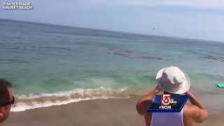 Video shows shark attack feet away from Cape Cod surfers [upl. by Medina]