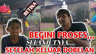 RAWATAN SEDERHANABETINA Setelah keluar DOBELAN [upl. by Nibuz]