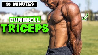 10 MINUTE LIGHTWEIGHT DUMBBELL TRICEP WORKOUT [upl. by Ahsekad558]